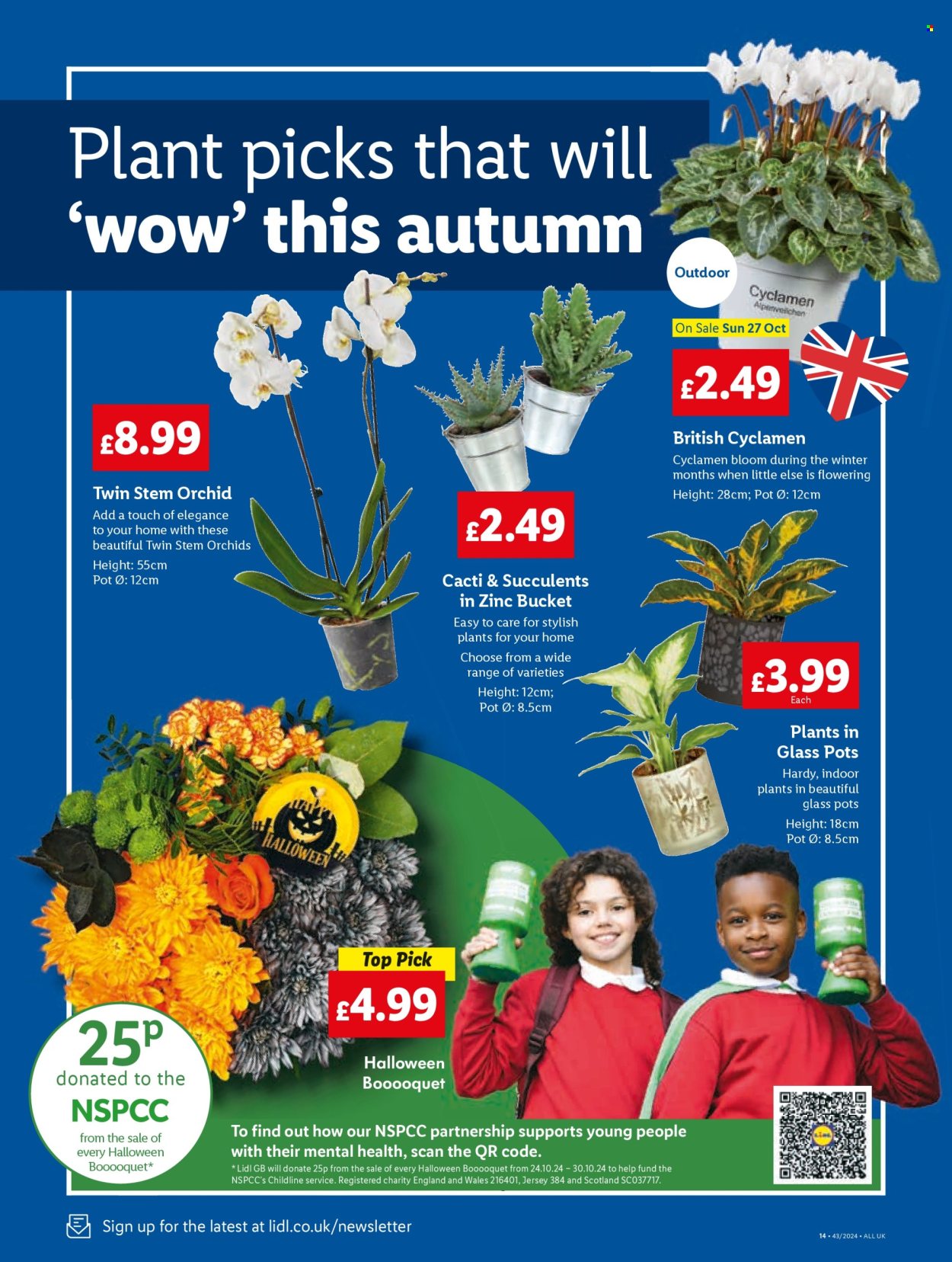 Lidl offer - 24/10/2024 - 30/10/2024. Page 14