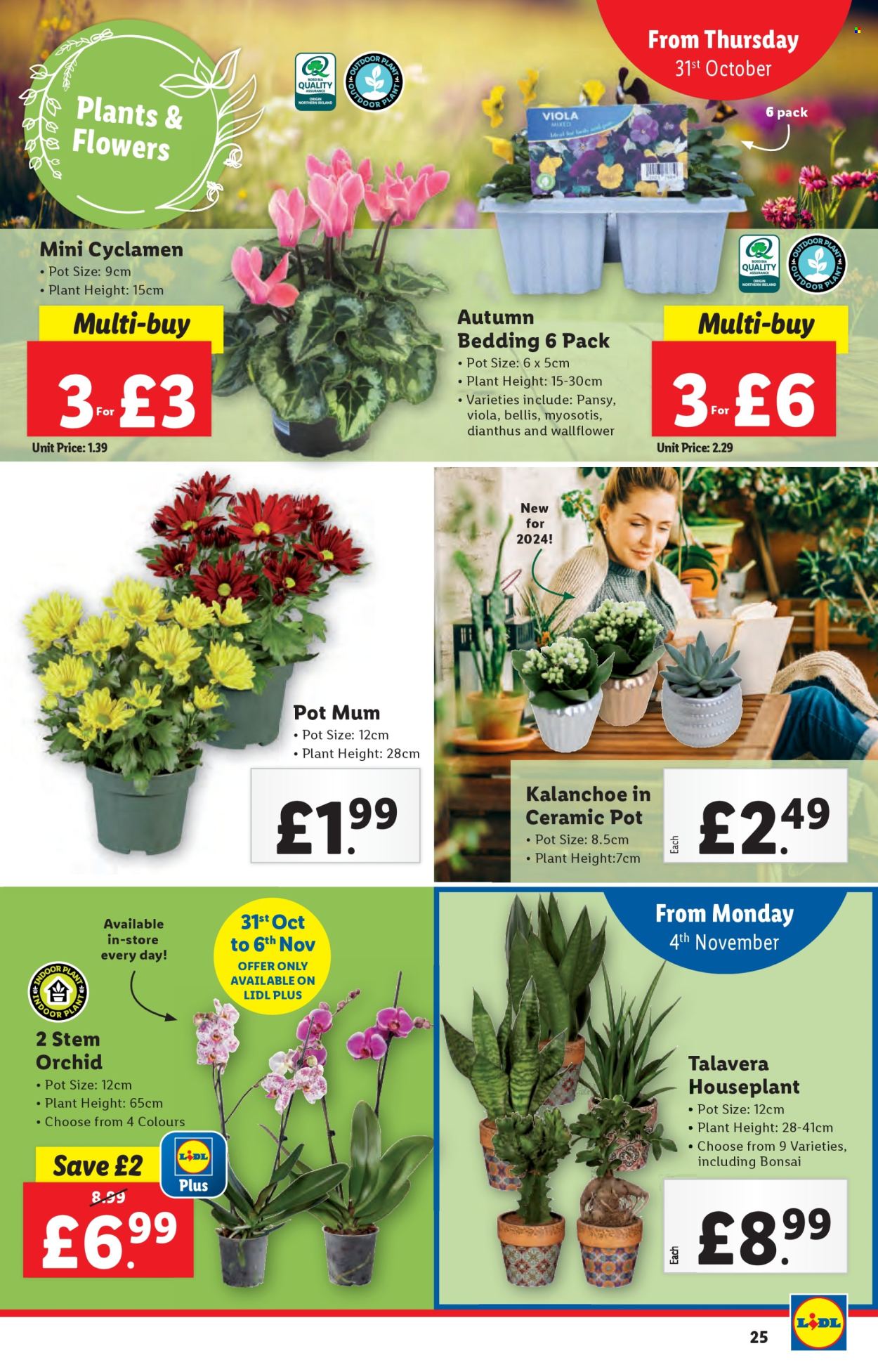 Lidl offer - 31/10/2024 - 06/11/2024. Page 25