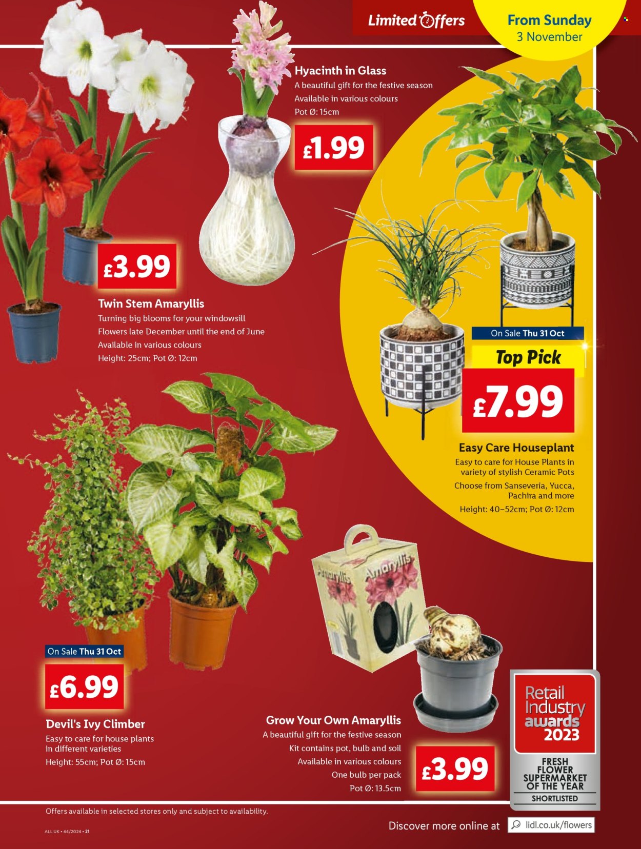 Lidl offer - 31/10/2024 - 06/11/2024. Page 21