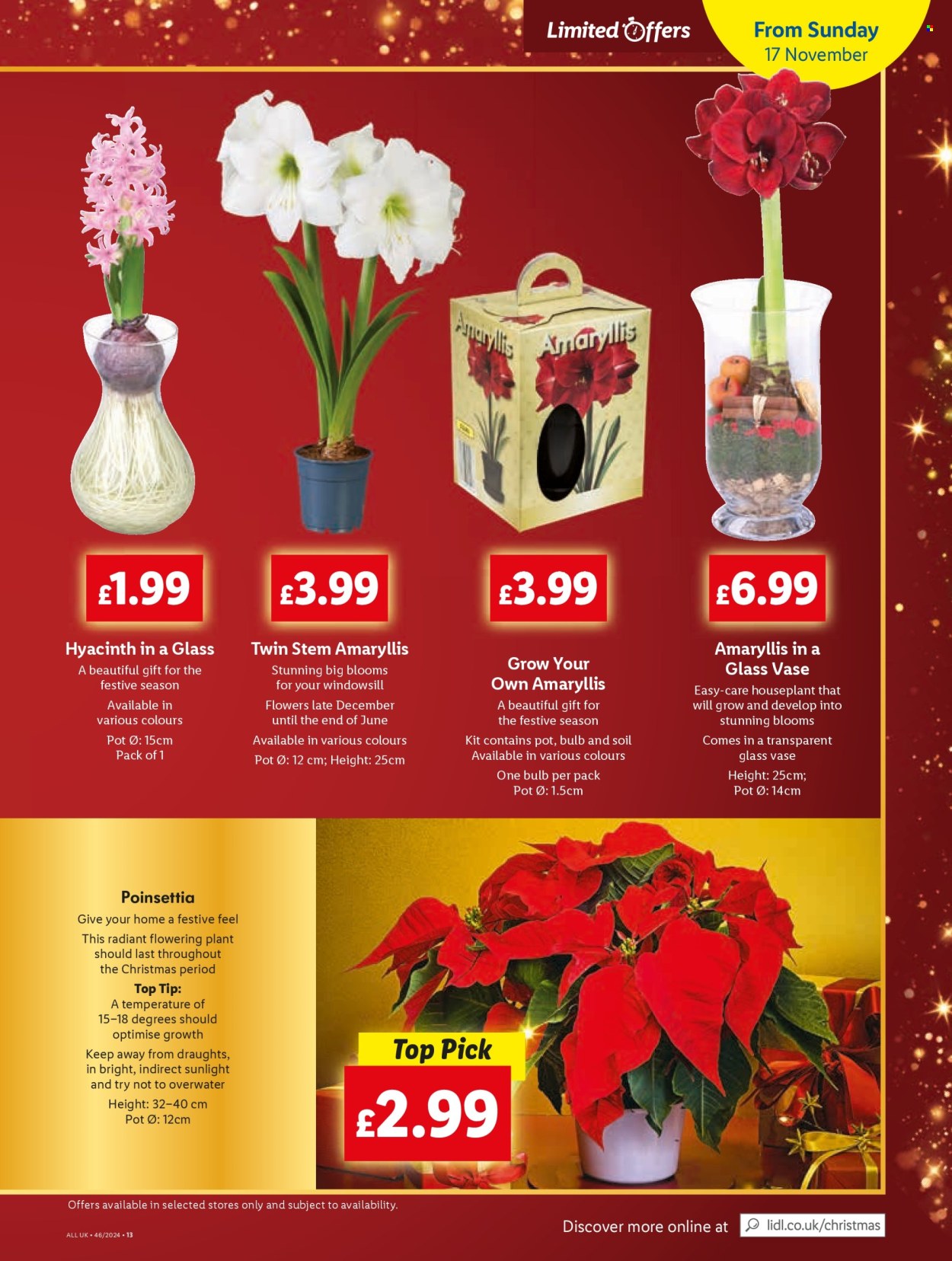 Lidl offer - 14/11/2024 - 20/11/2024. Page 1