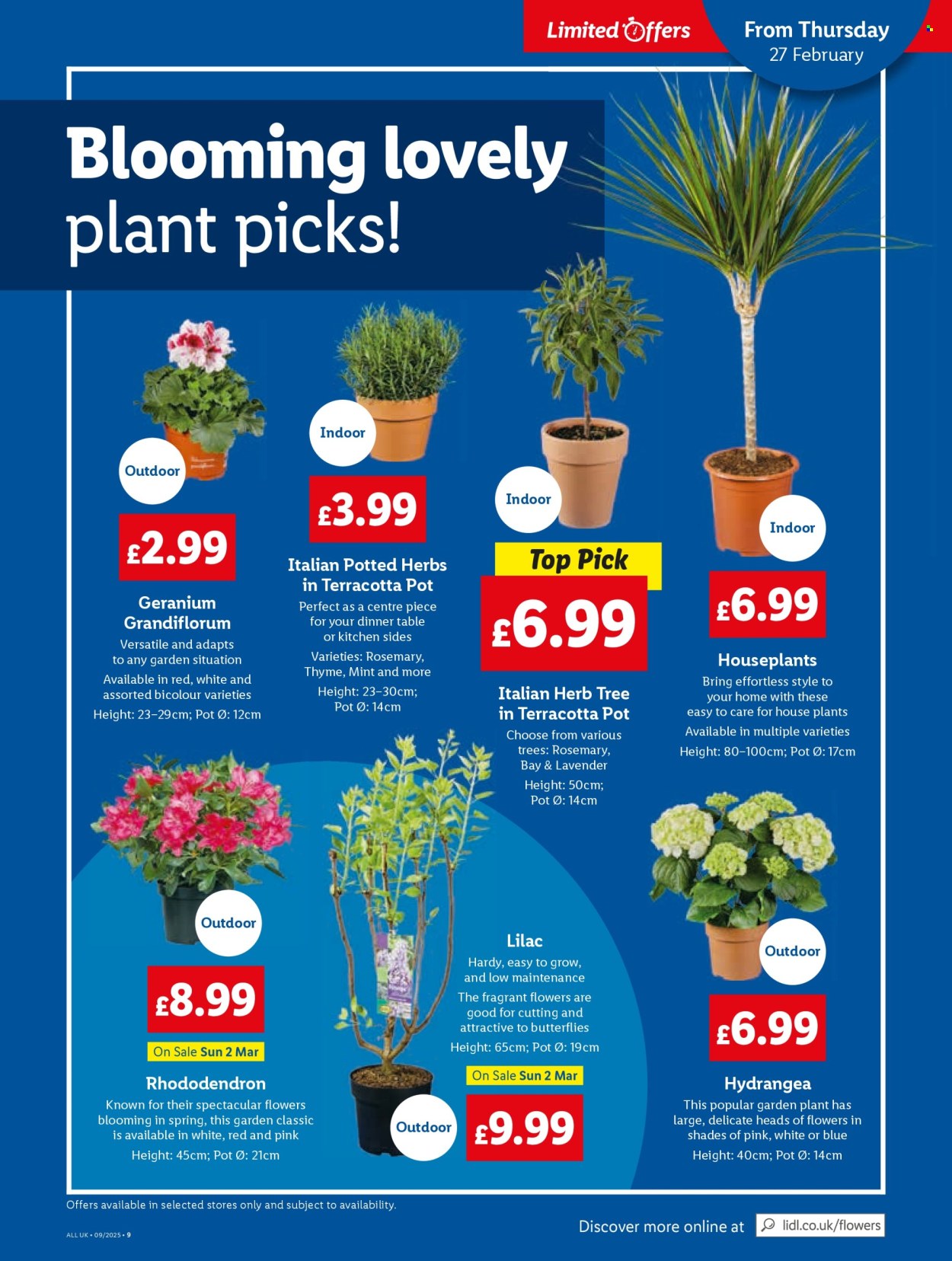 Lidl offer - 27/02/2025 - 05/03/2025. Page 1