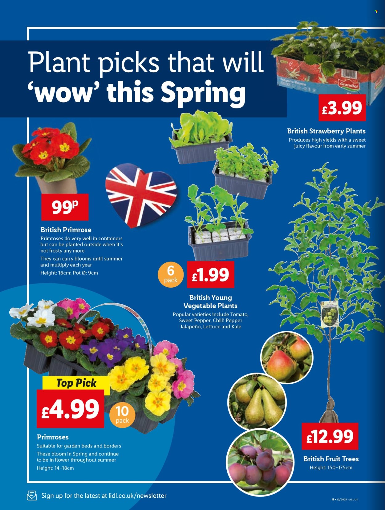 Lidl offer - 06/03/2025 - 12/03/2025. Page 1