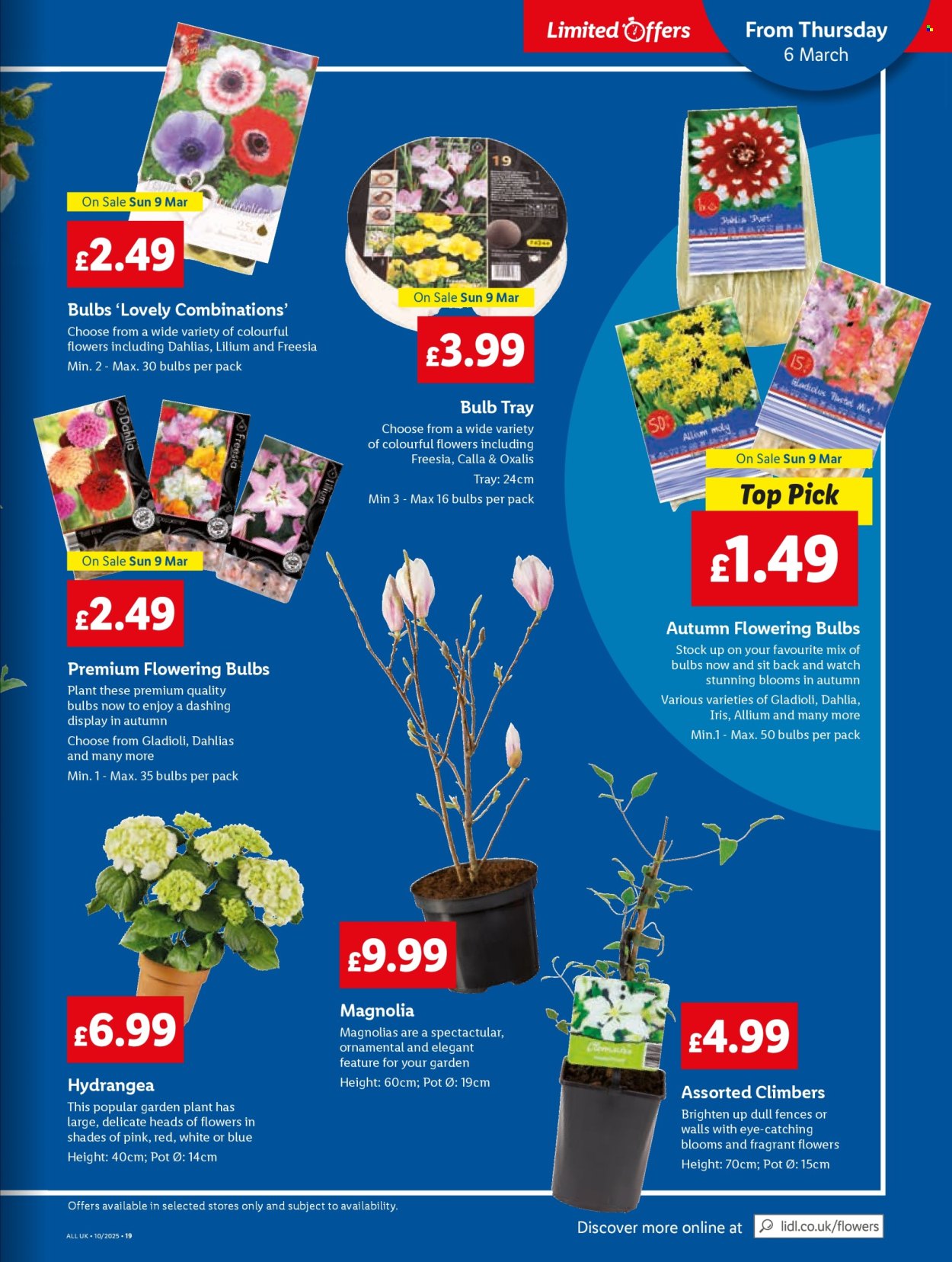 Lidl offer - 06/03/2025 - 12/03/2025. Page 1