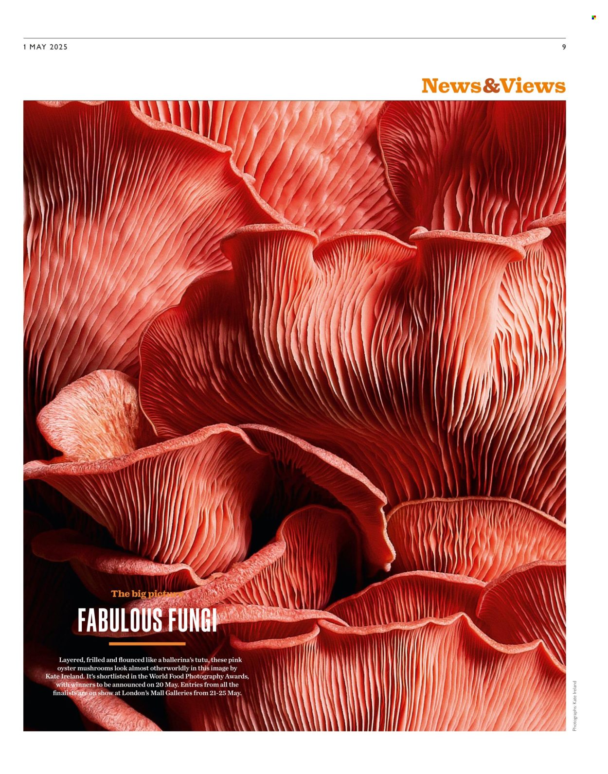 Waitrose offer. Page 1
