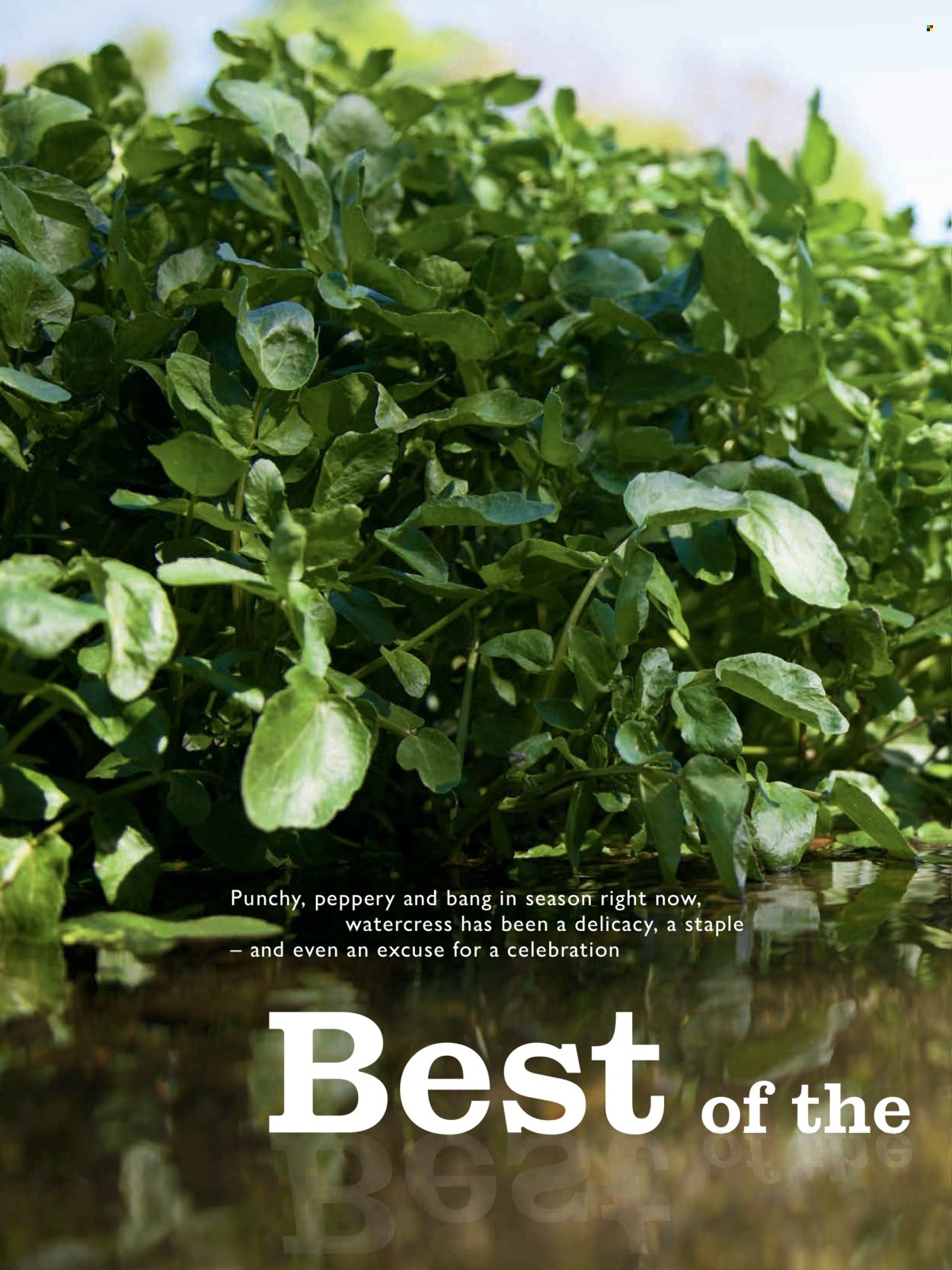 Waitrose offer - 01/05/2025 - 31/05/2025. Page 1