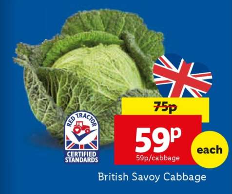 British Savoy Cabbage