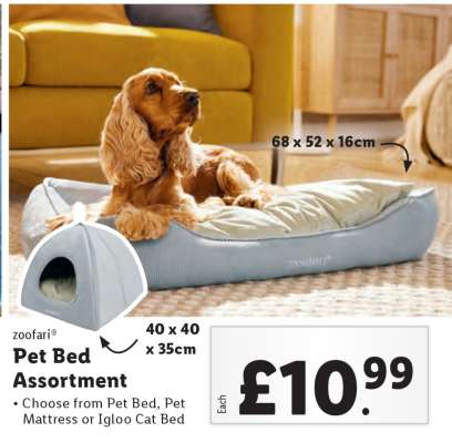 Pet Bed Assortment