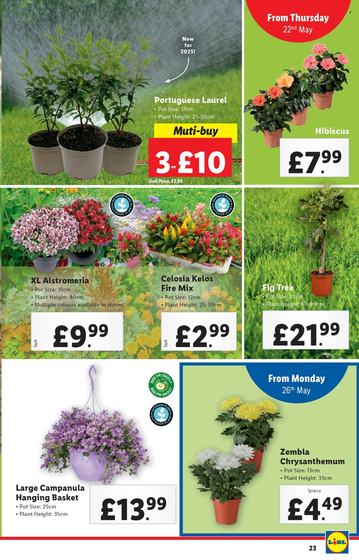 Lidl offer - 22/05/2025 - 28/05/2025. Page 1