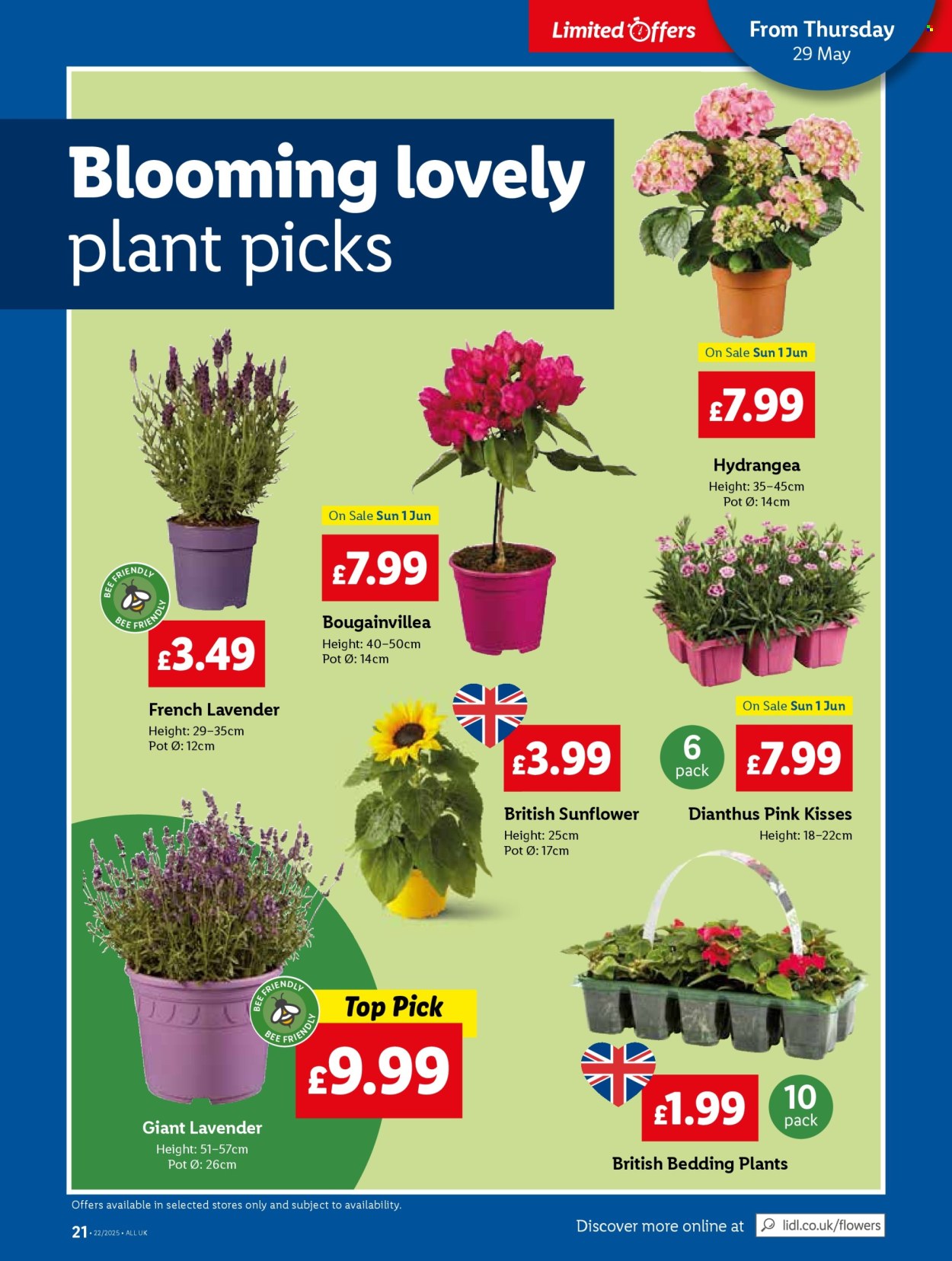 Lidl offer - 29/05/2025 - 04/06/2025. Page 1