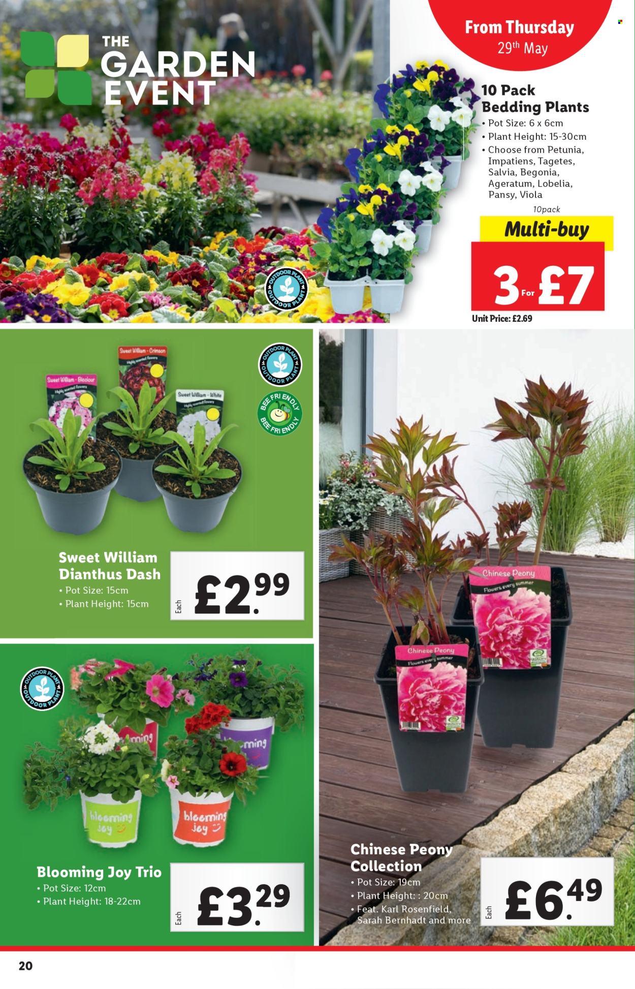 Lidl offer - 29/05/2025 - 04/06/2025. Page 1