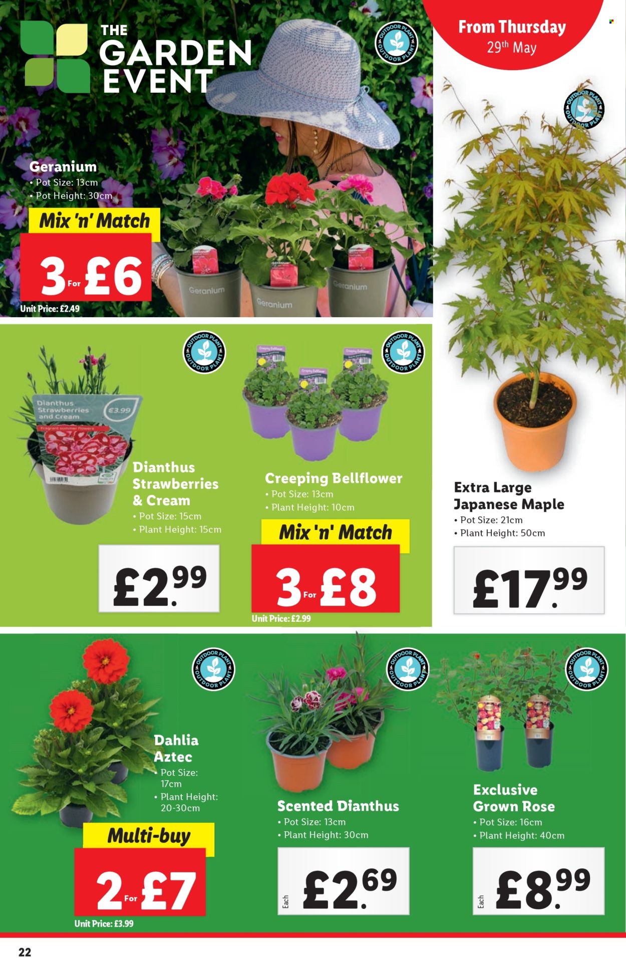 Lidl offer - 29/05/2025 - 04/06/2025. Page 1