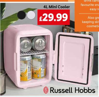 4L Mini Cooler