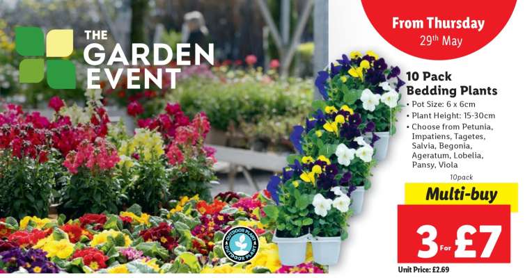10 Pack Bedding Plants