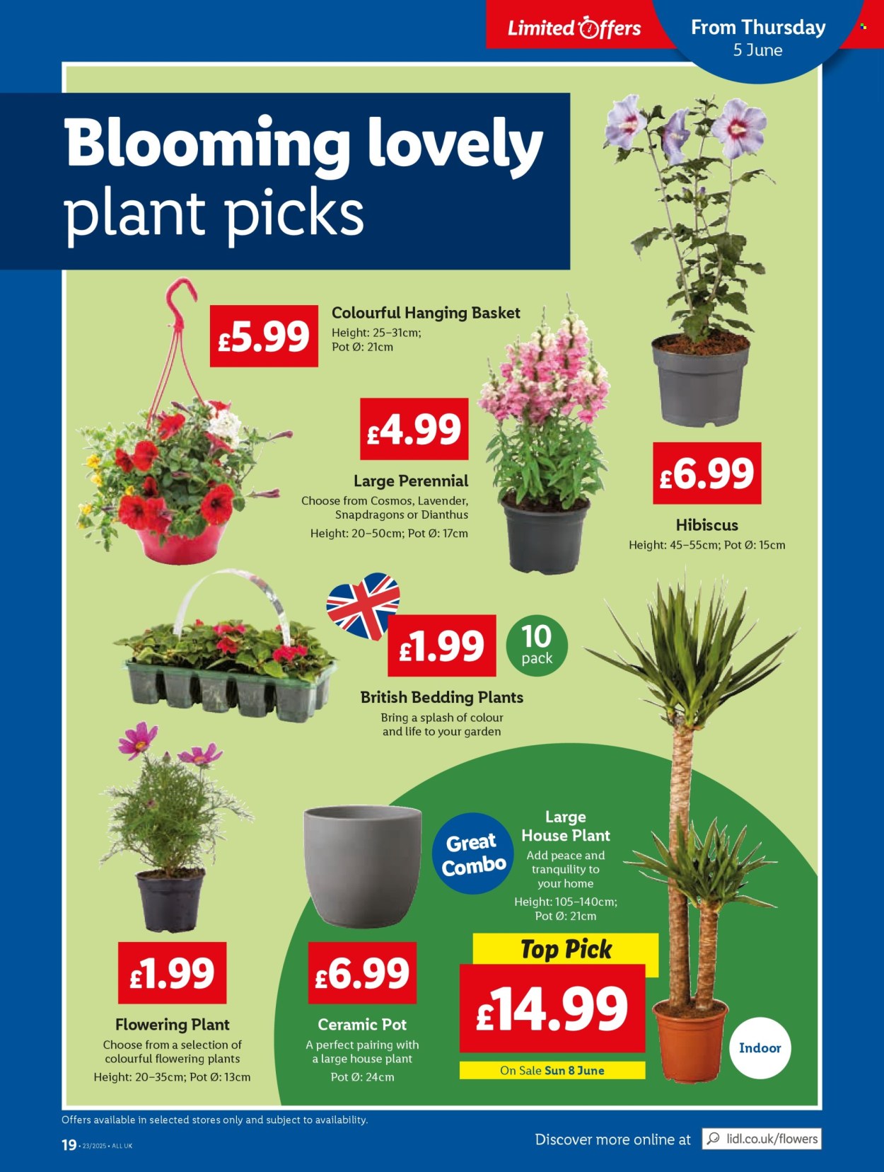 Lidl offer - 05/06/2025 - 11/06/2025. Page 21