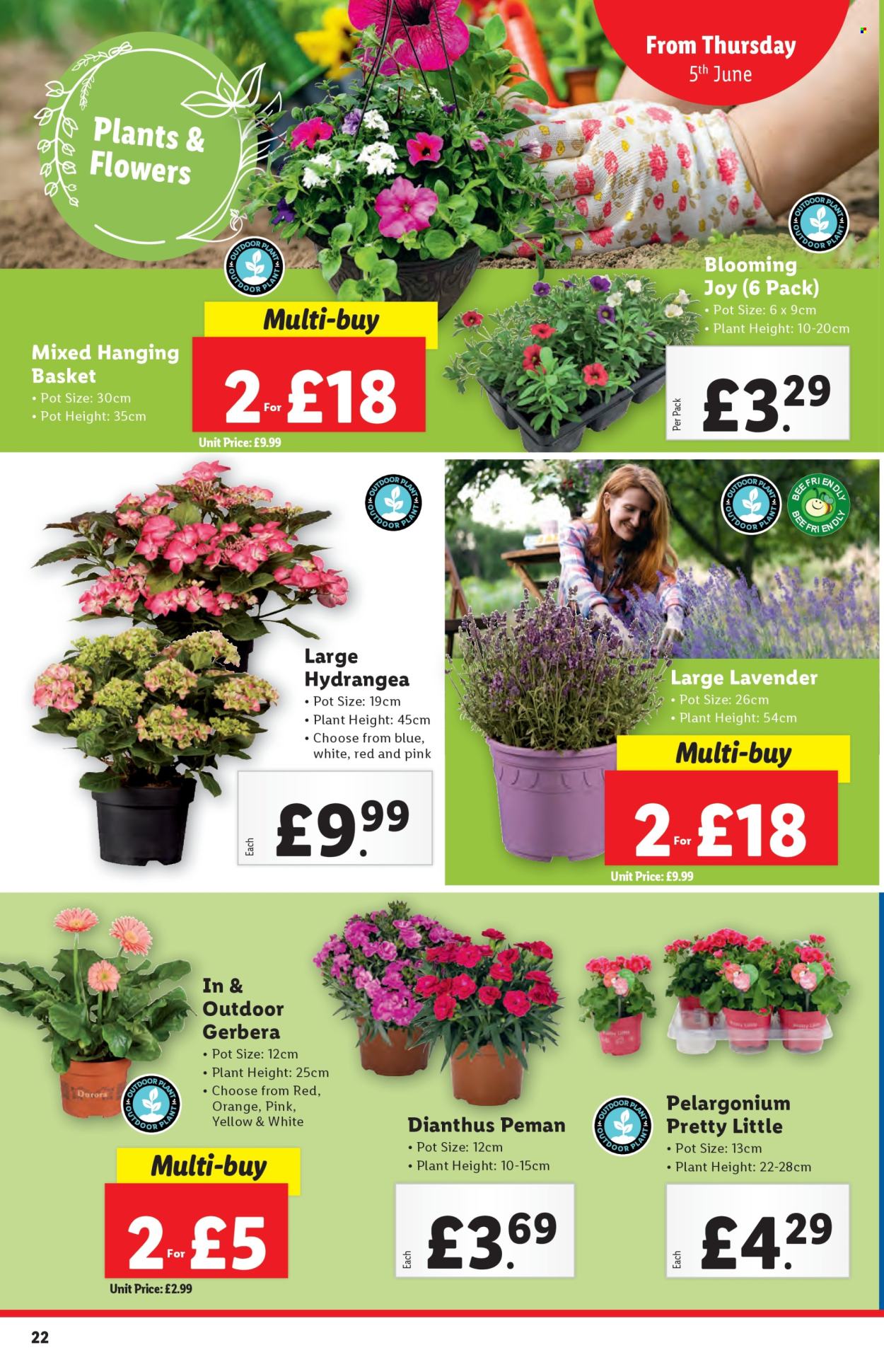 Lidl offer - 05/06/2025 - 11/06/2025. Page 22