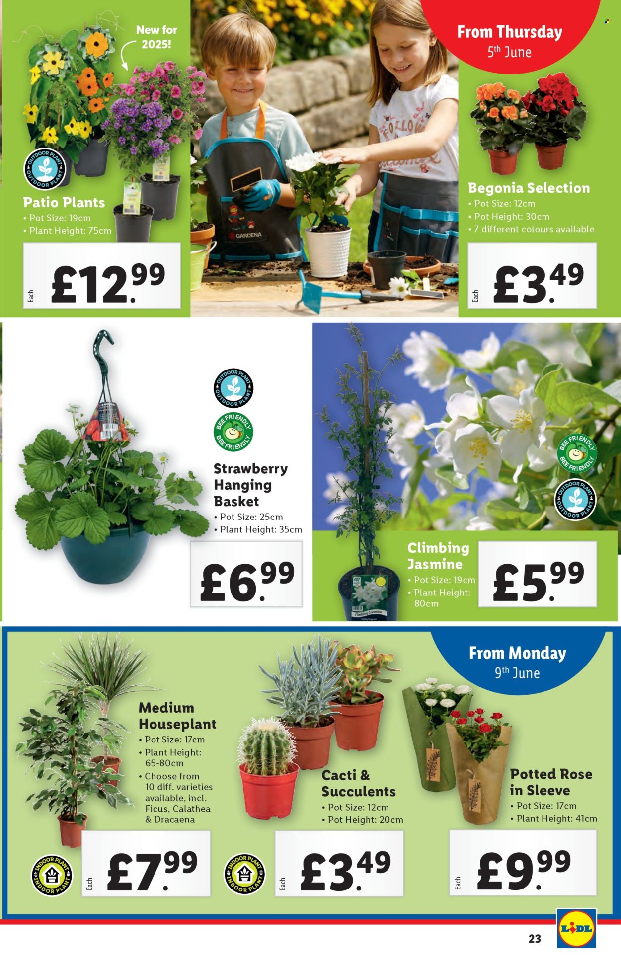 Lidl offer - 05/06/2025 - 11/06/2025. Page 23