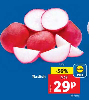 Radish