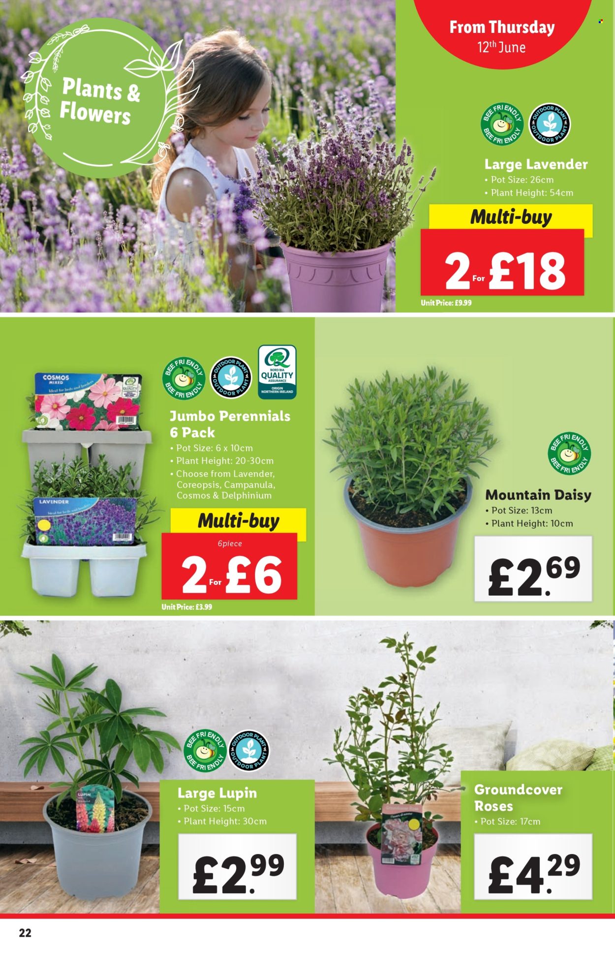 Lidl offer - 12/06/2025 - 18/06/2025. Page 22
