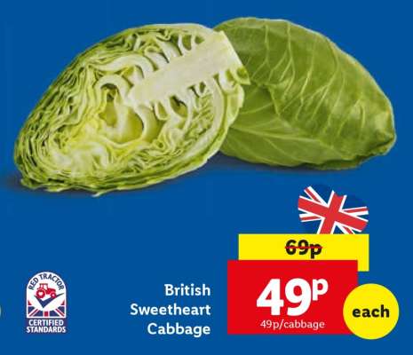 British Sweetheart Cabbage