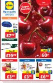 leaflet