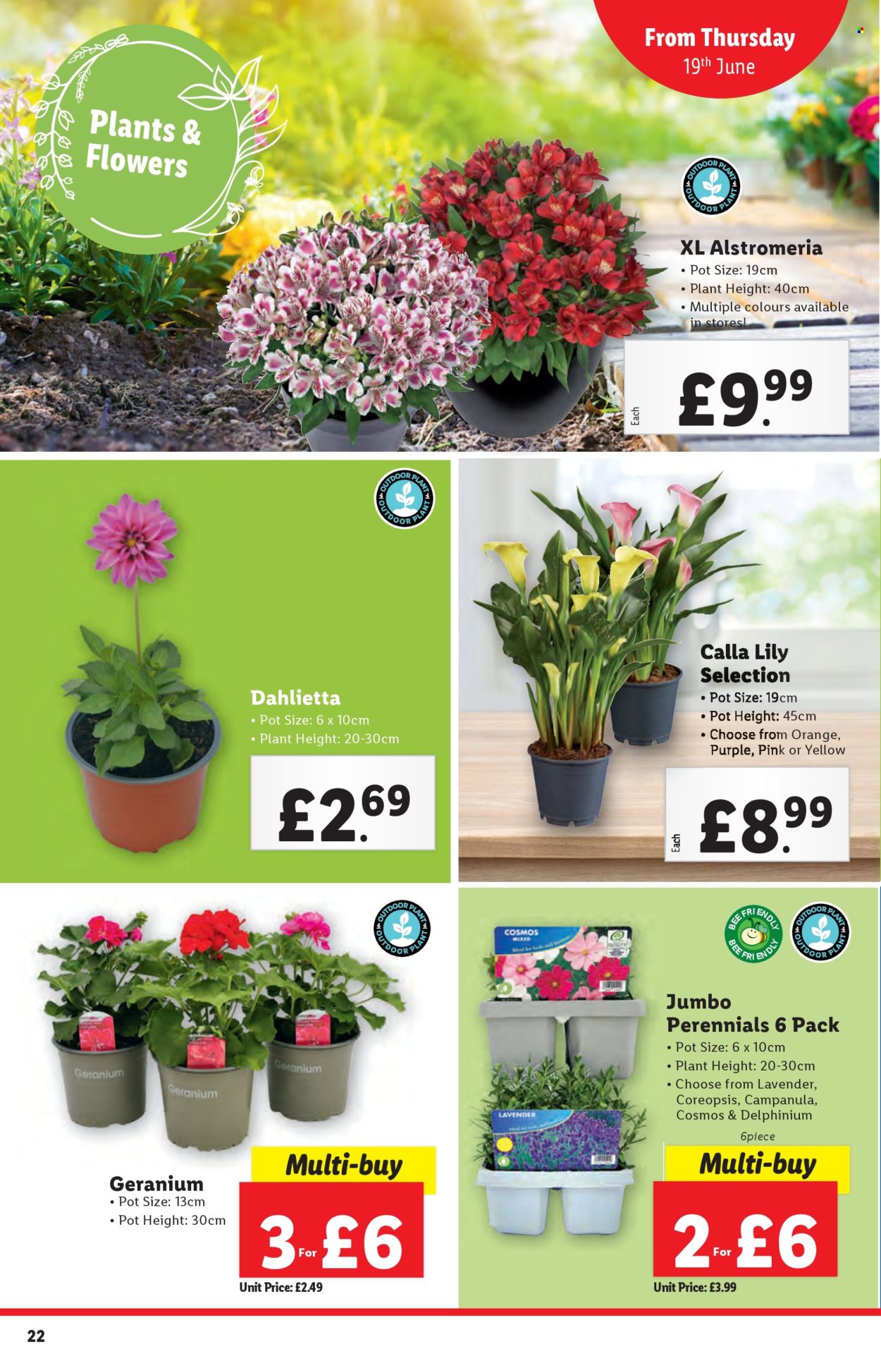 Lidl offer - 19/06/2025 - 25/06/2025. Page 22
