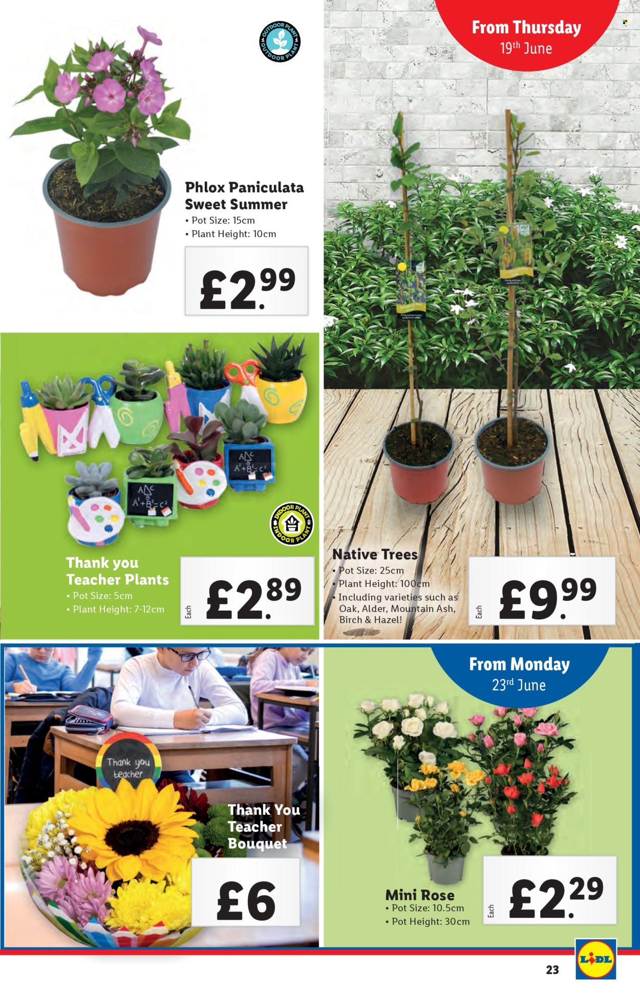 Lidl offer - 19/06/2025 - 25/06/2025. Page 23