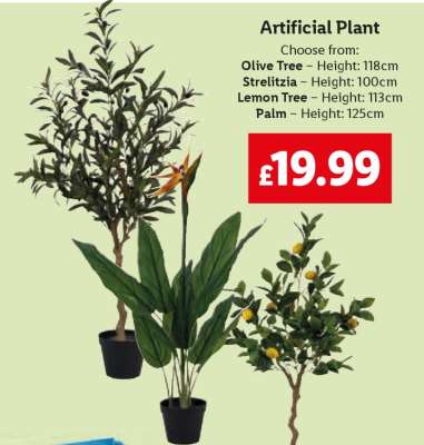 Artificial Plant