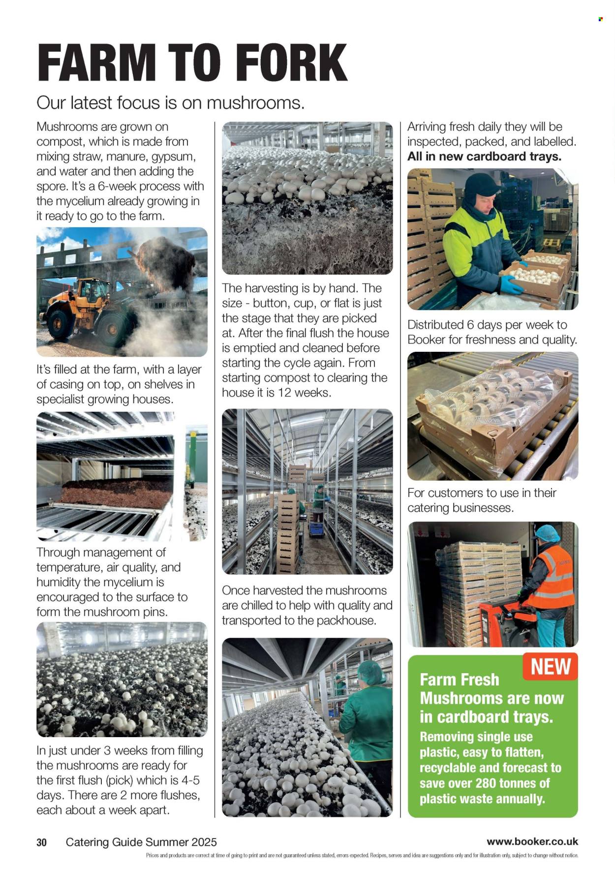Makro offer - 18/06/2025 - 07/10/2025. Page 30
