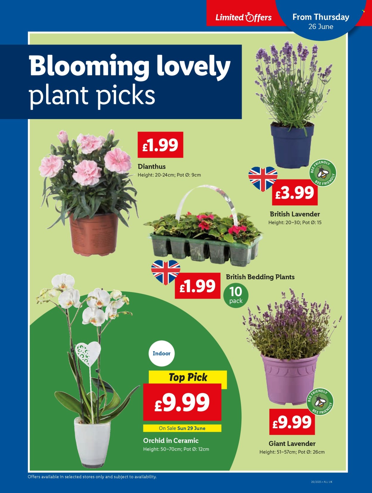 Lidl offer - 26/06/2025 - 02/07/2025. Page 26