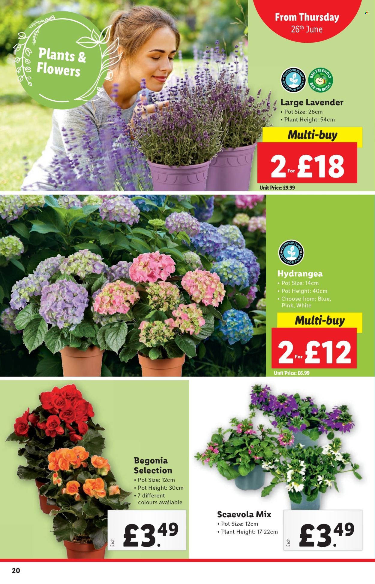 Lidl offer - 26/06/2025 - 02/07/2025. Page 20