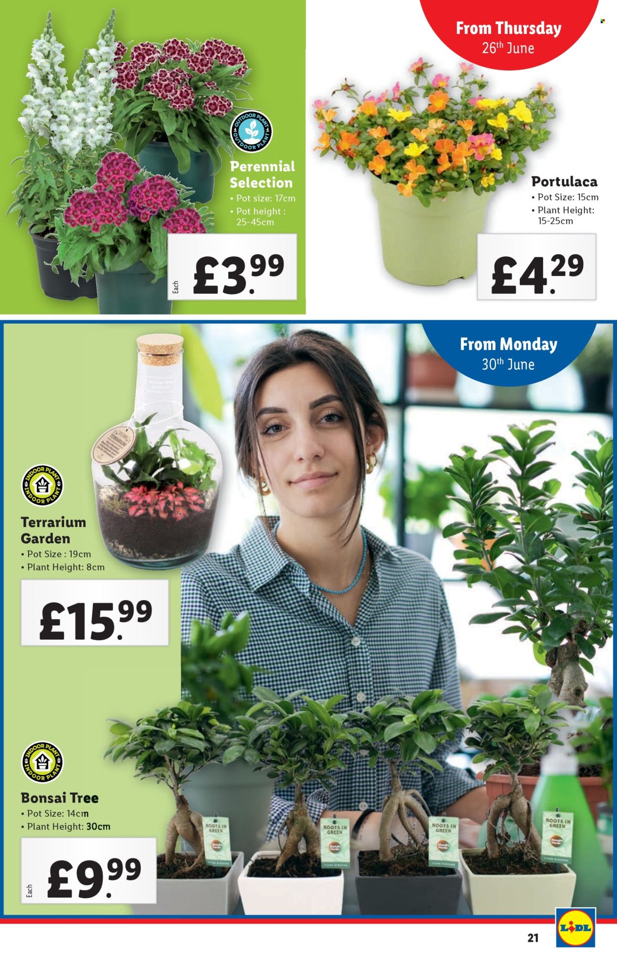 Lidl offer - 26/06/2025 - 02/07/2025. Page 21