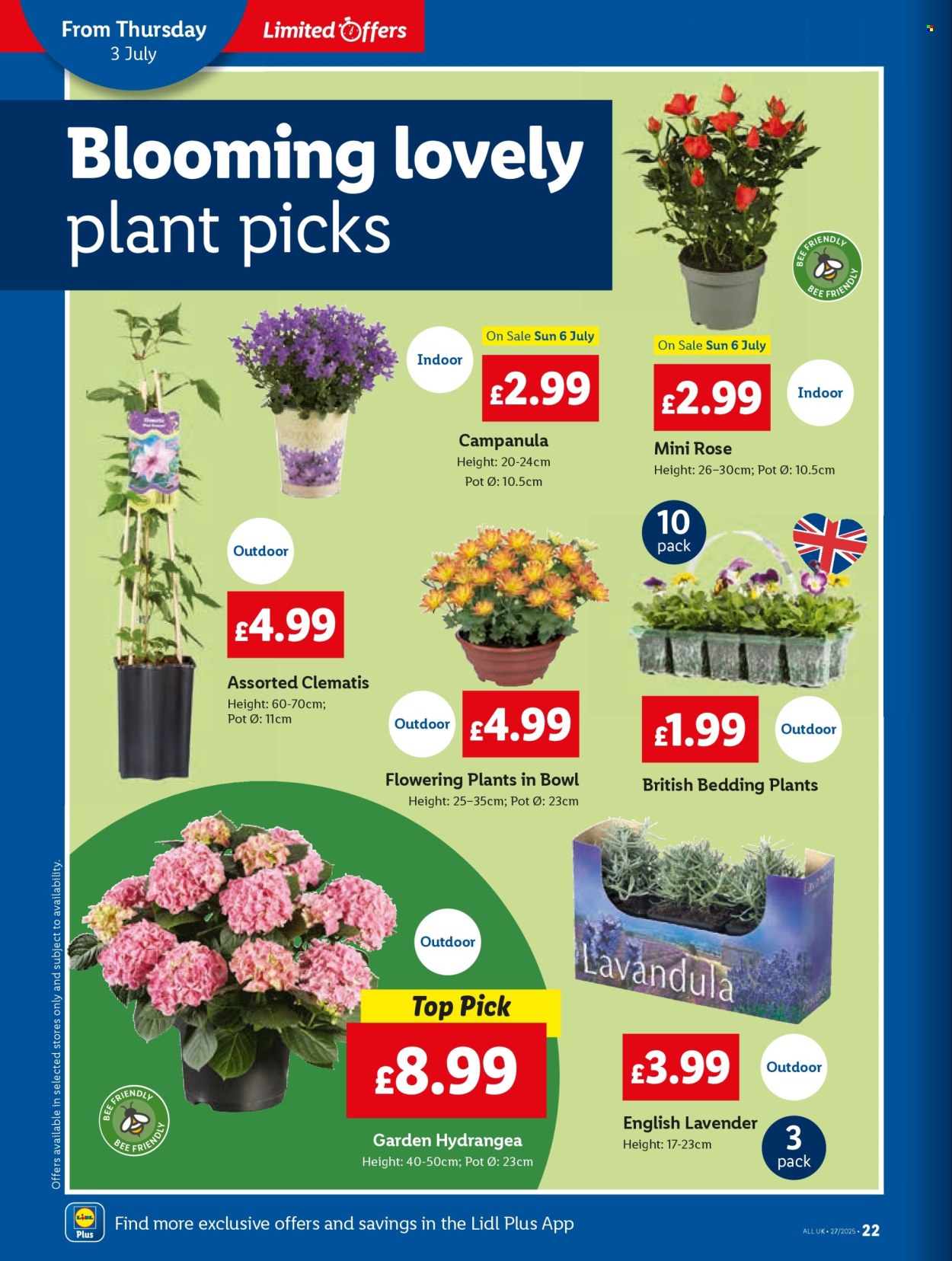 Lidl offer - 03/07/2025 - 09/07/2025. Page 24