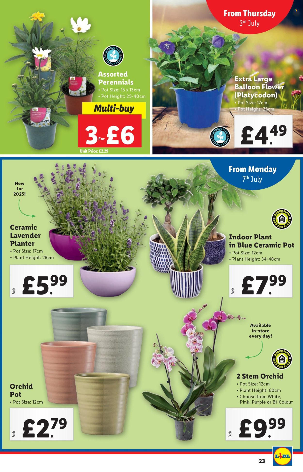Lidl offer - 03/07/2025 - 09/07/2025. Page 23