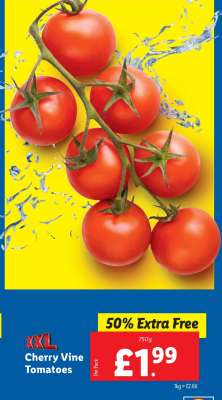 XXL Cherry Vine Tomatoes