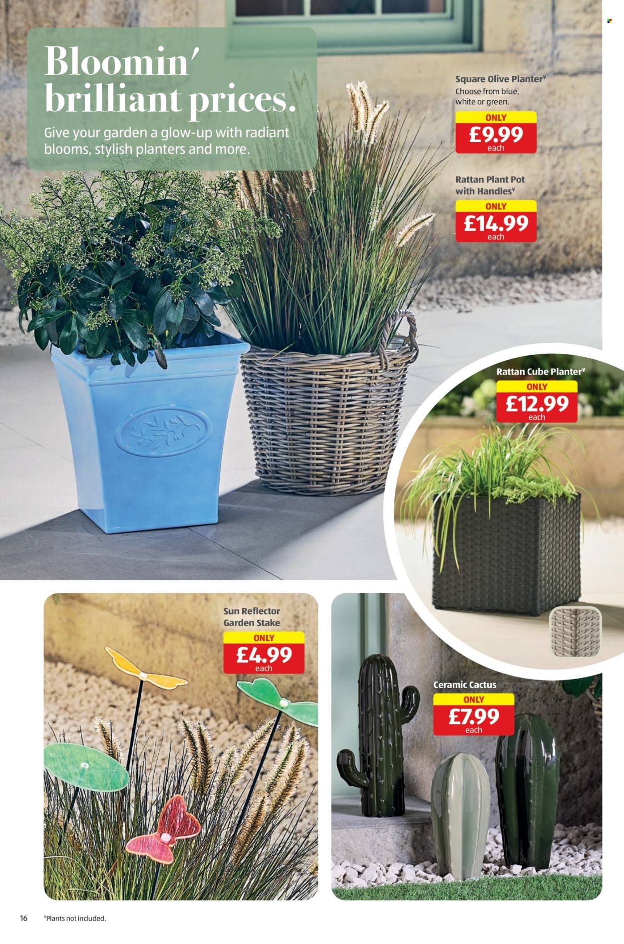 Aldi offer - 03/07/2025 - 06/07/2025. Page 16