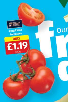 Regal Vine Tomatoes