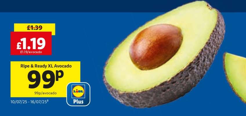 Ripe & Ready XL Avocado