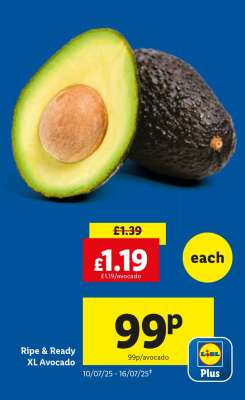 Ripe & Ready XL Avocado