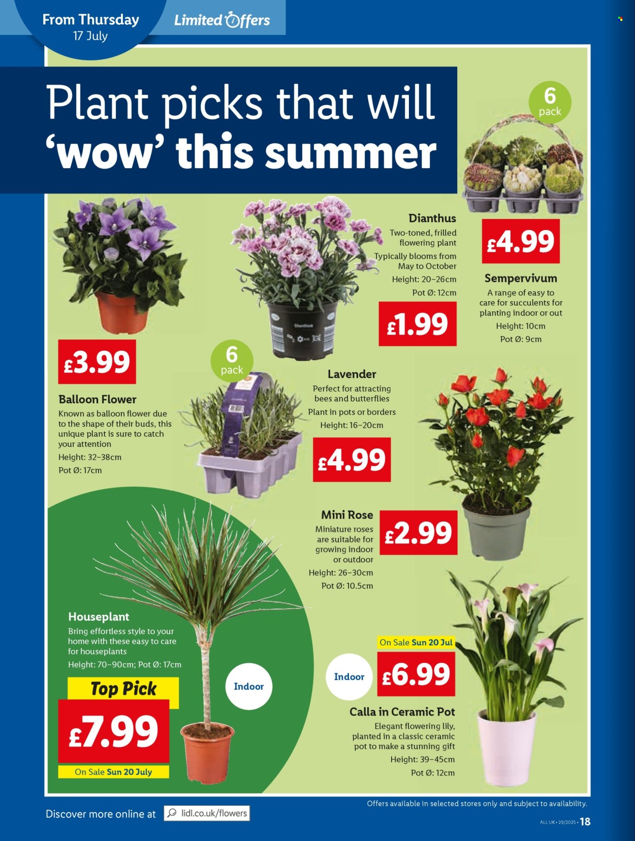 Lidl offer - 17/07/2025 - 23/07/2025. Page 18