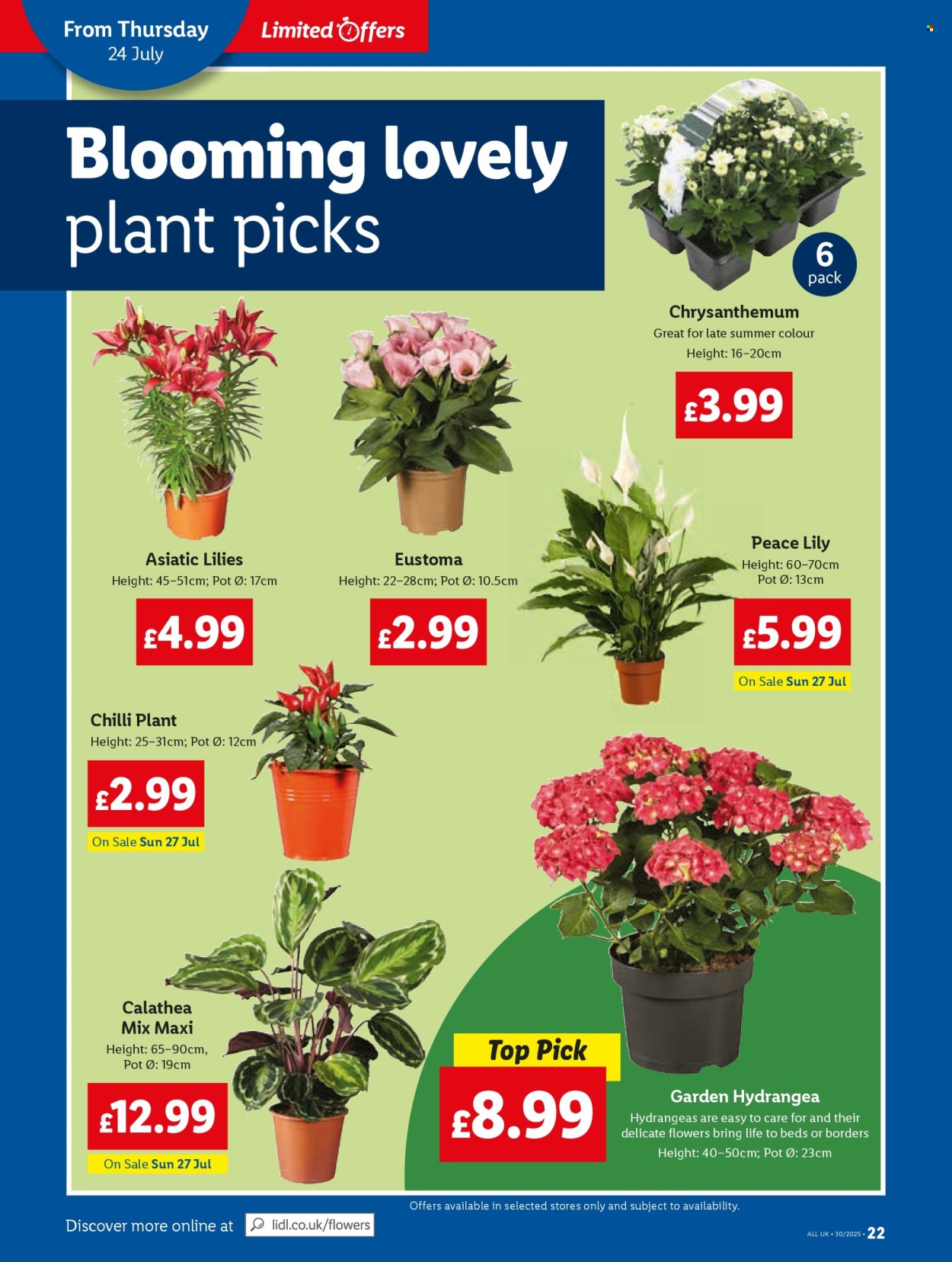 Lidl offer - 24/07/2025 - 30/07/2025. Page 22