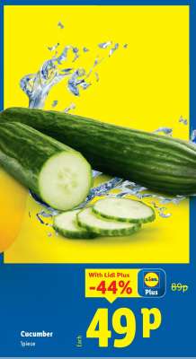 Cucumber