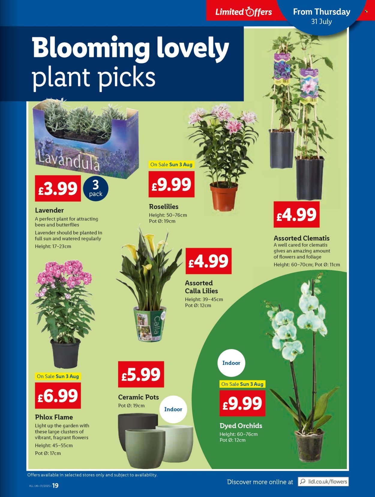 Lidl offer - 31/07/2025 - 06/08/2025. Page 19