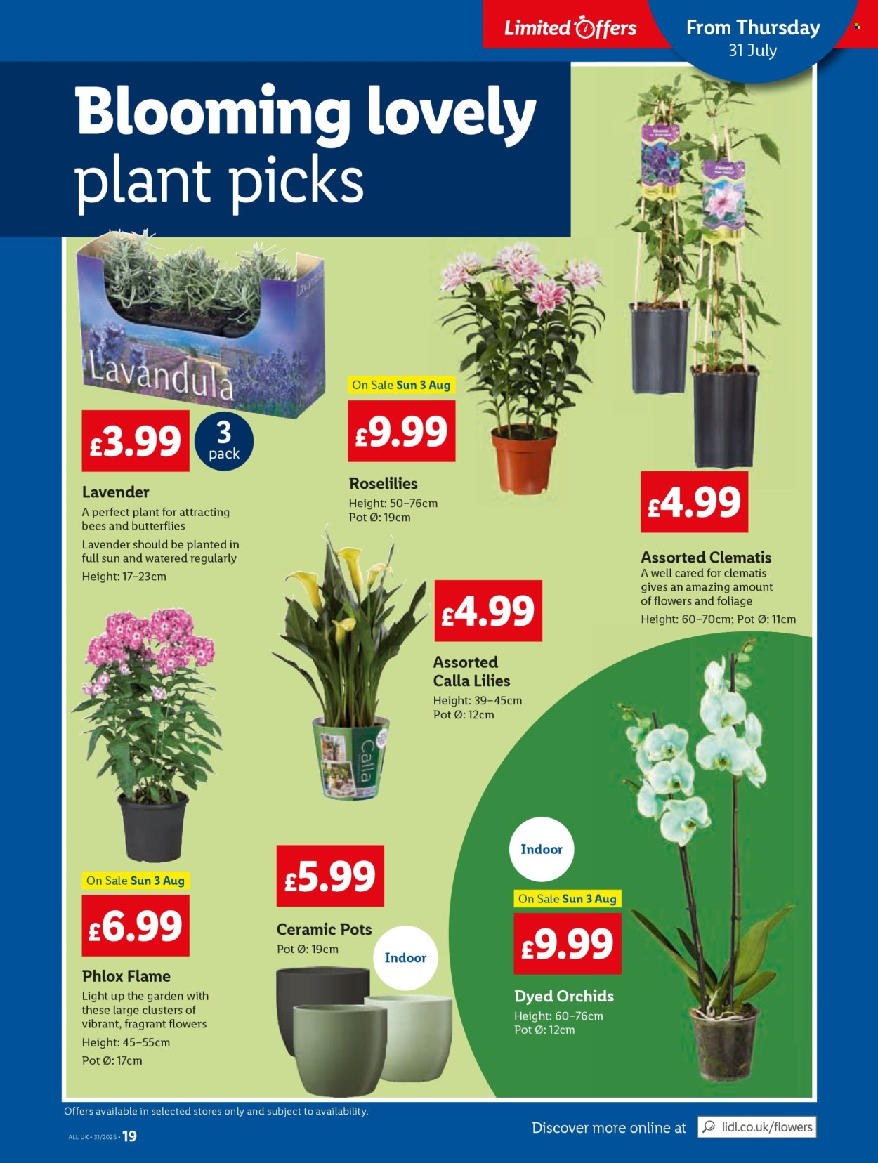 Lidl offer - 31/07/2025 - 06/08/2025. Page 19