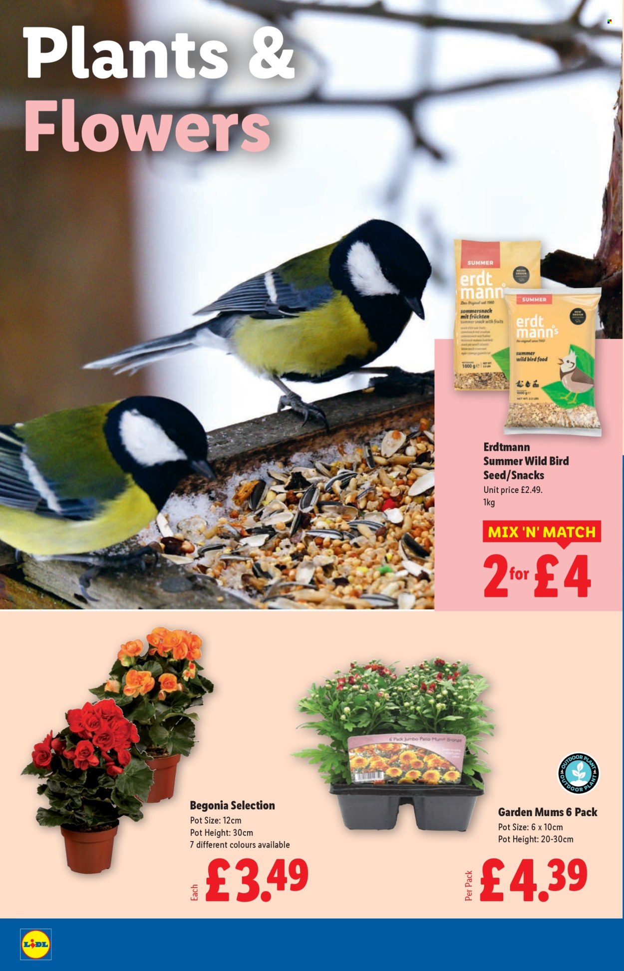 Lidl offer - 31/07/2025 - 06/08/2025. Page 22