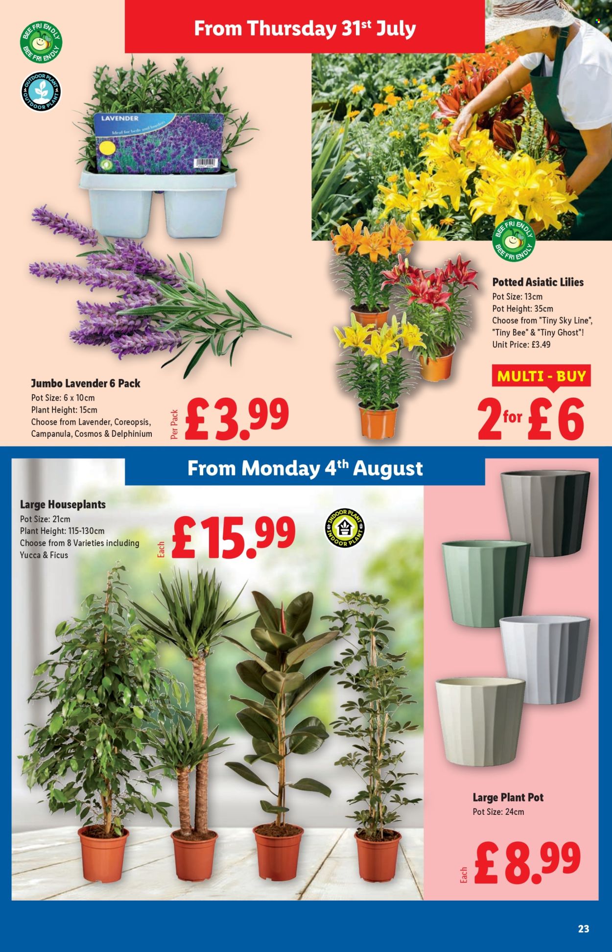Lidl offer - 31/07/2025 - 06/08/2025. Page 23