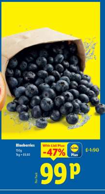 Blueberries