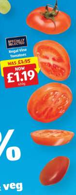 Regal Vine Tomatoes