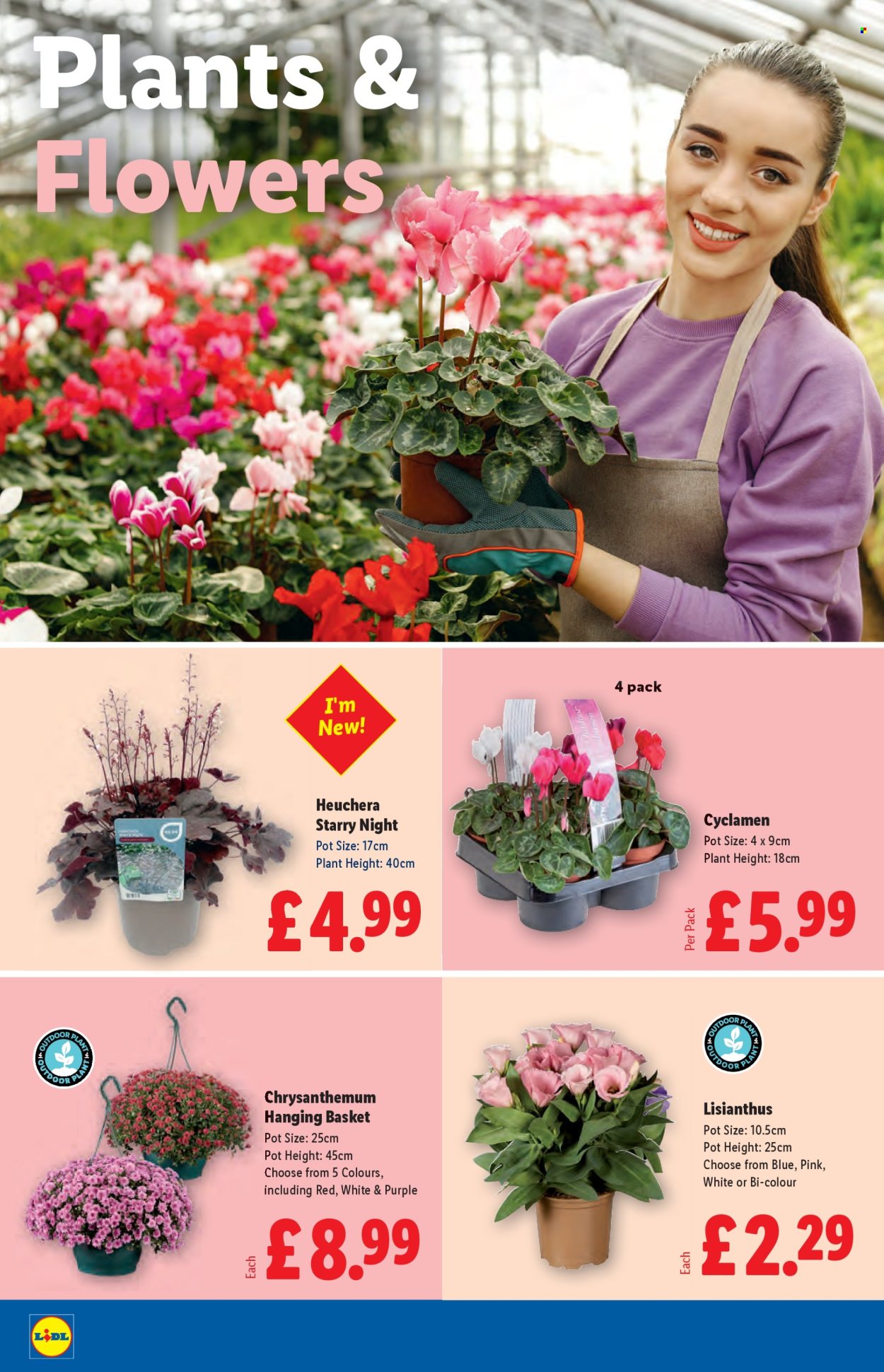 Lidl offer - 07/08/2025 - 13/08/2025. Page 22