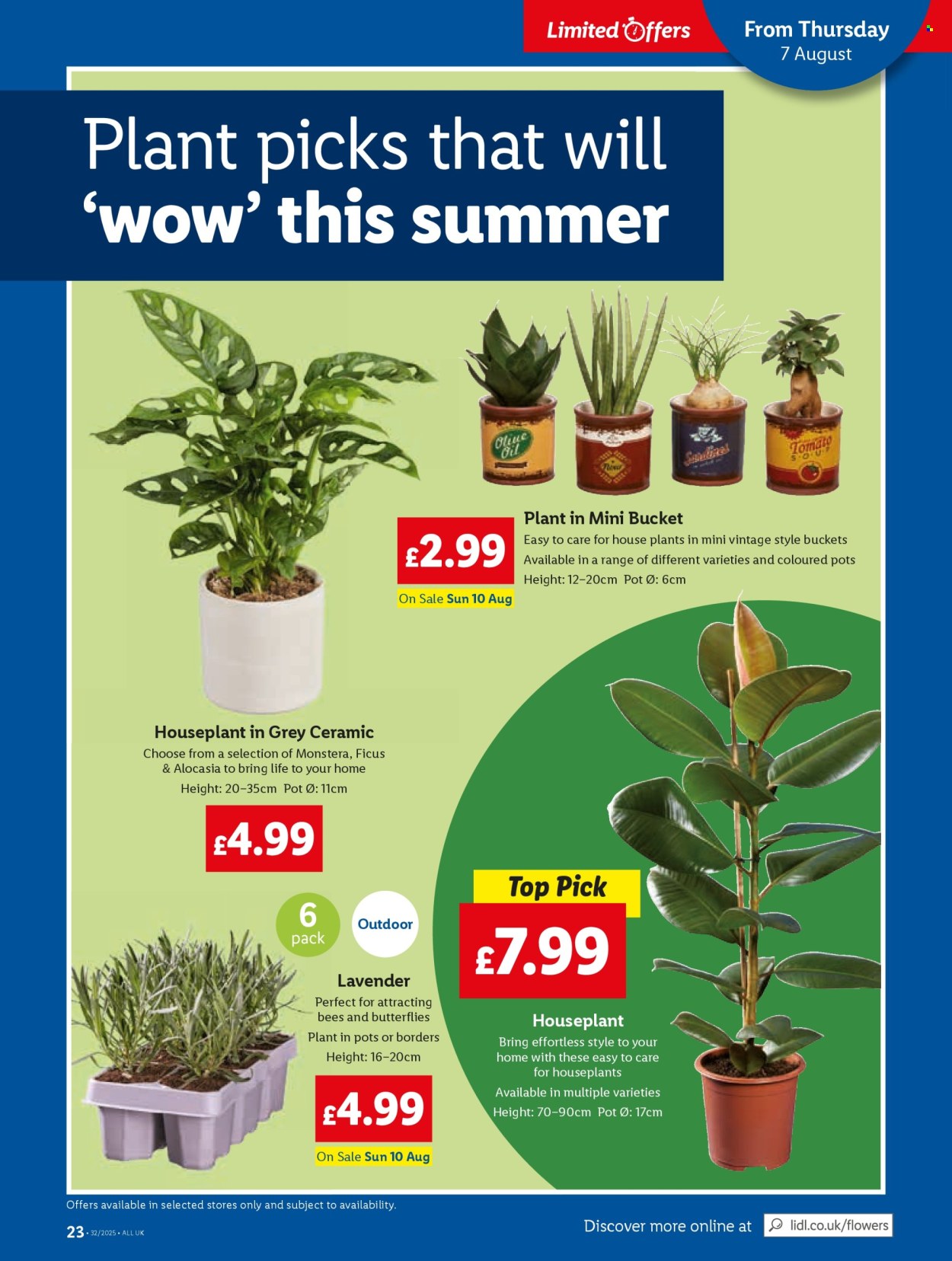 Lidl offer - 07/08/2025 - 13/08/2025. Page 25