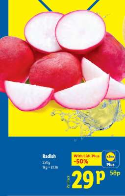 Radish